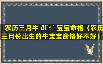 农历三月牛 🪴 宝宝命格（农历三月份出生的牛宝宝命格好不好）